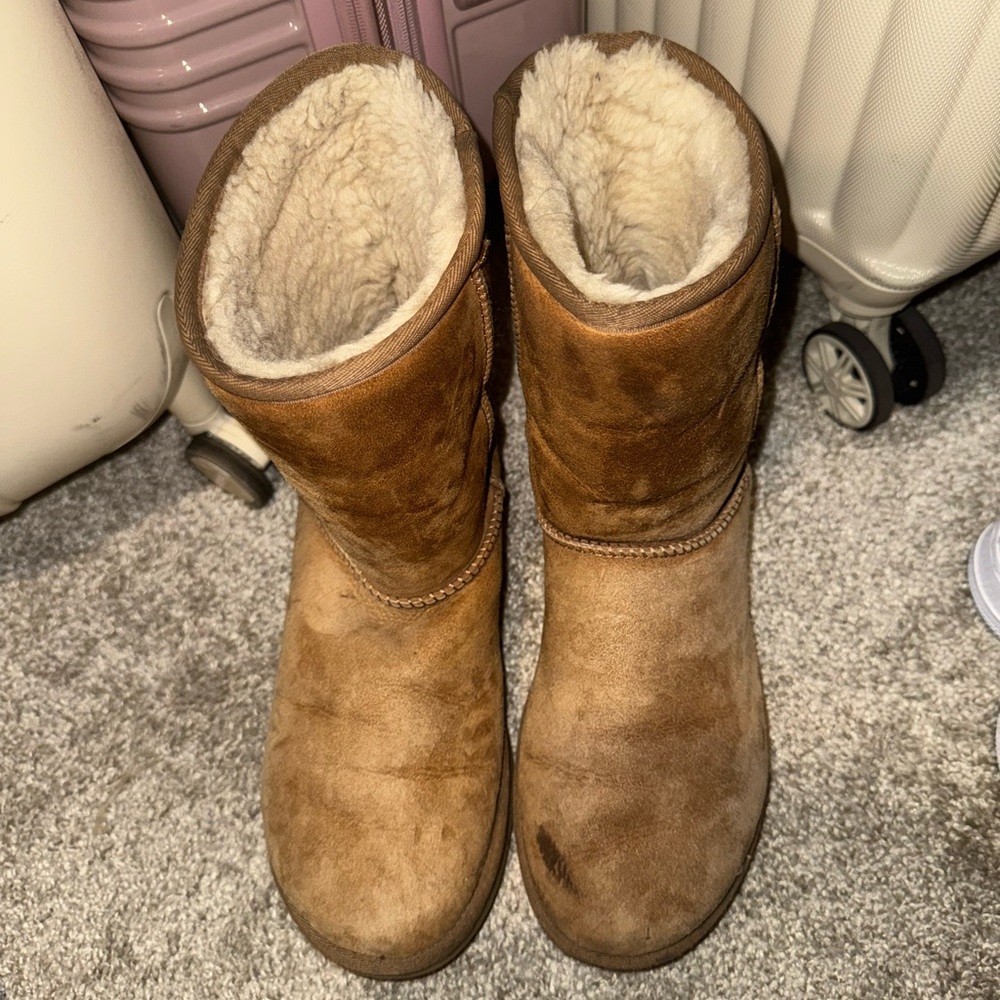 Women Chestnut UGG